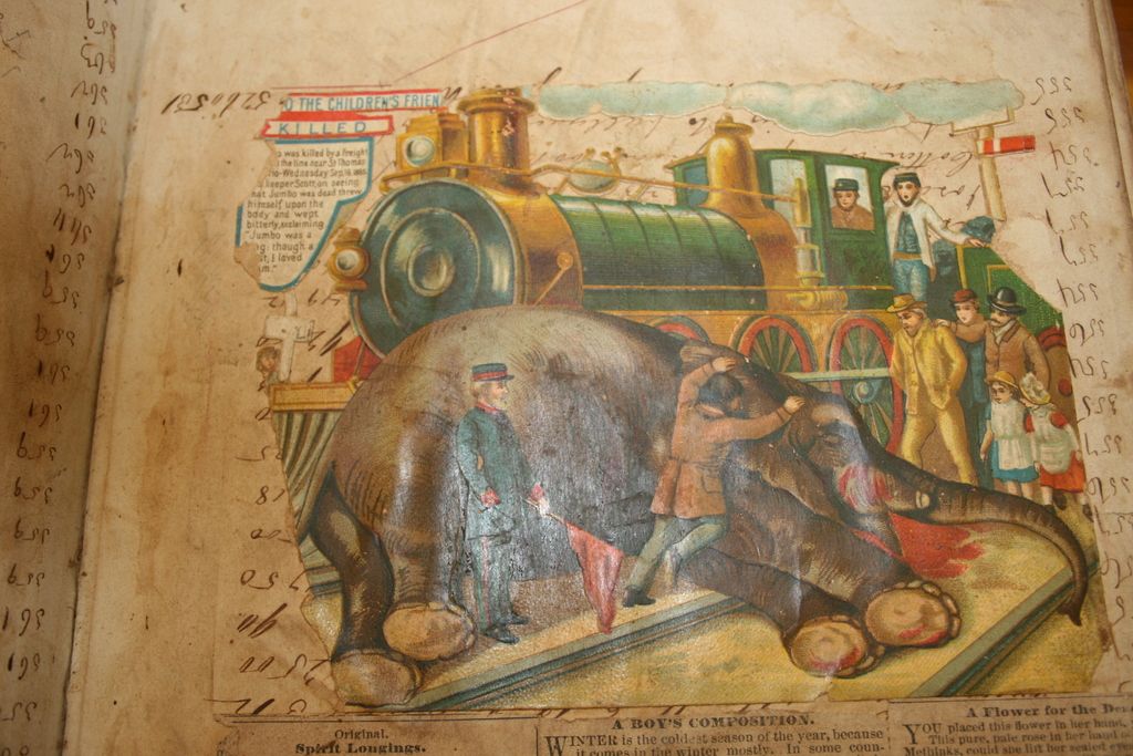 In this picture there is a book and there is text on the book and on the book there is a picture of...